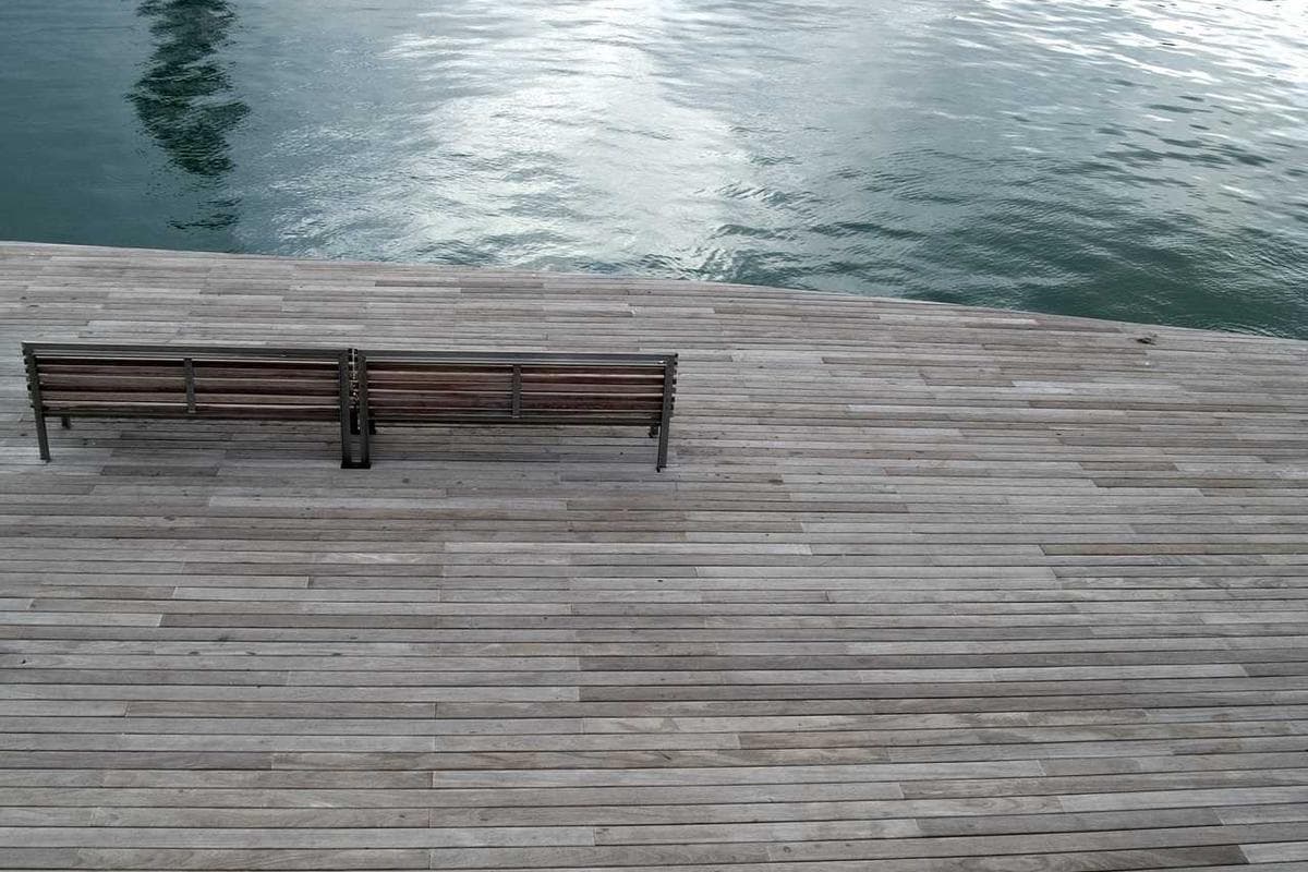 Dachigam Wild Trail — photo 5